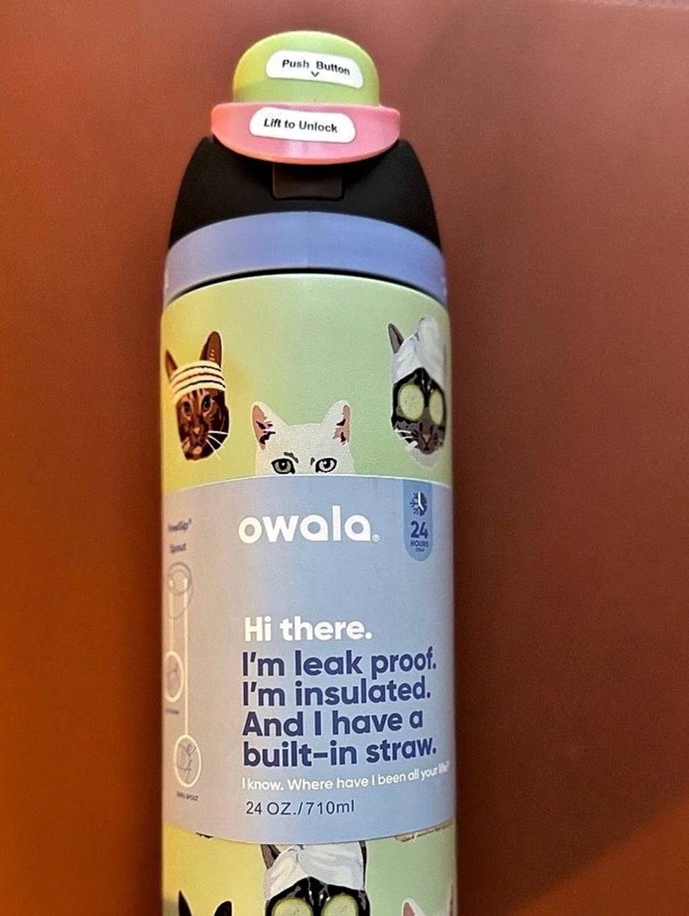 Owala FreeSip 24oz Insulated Bottle Cat Print Green Blue